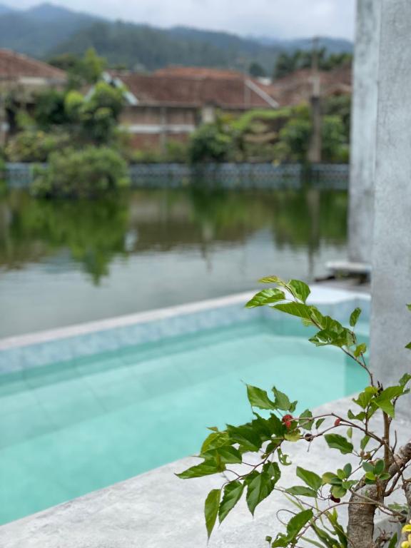 Villa Ciwidey Vintage 9